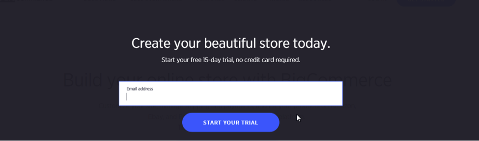 BigCommerce Store